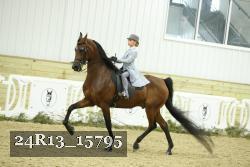 24R13_15795 thumbnail