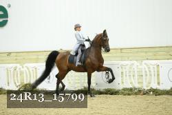 24R13_15799 thumbnail