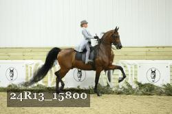 24R13_15800 thumbnail