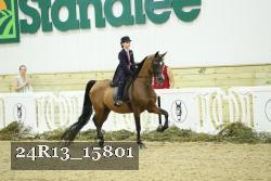 24R13_15801 thumbnail