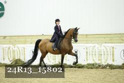 24R13_15802 thumbnail