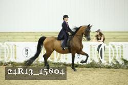 24R13_15804 thumbnail