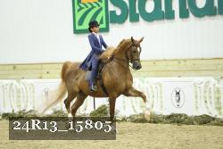 24R13_15805 thumbnail