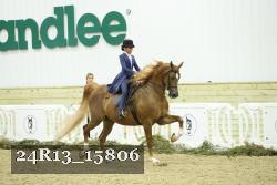 24R13_15806 thumbnail