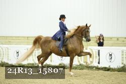 24R13_15807 thumbnail
