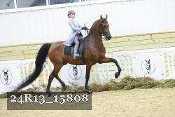 24R13_15808 thumbnail