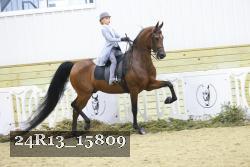 24R13_15809 thumbnail