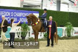 24R13_15817 thumbnail