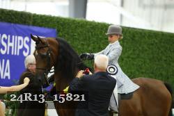 24R13_15821 thumbnail