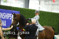 24R13_15822 thumbnail