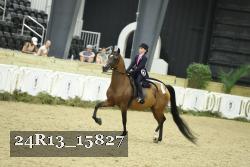 24R13_15827 thumbnail