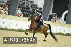 24R13_15828 thumbnail