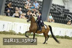 24R13_15829 thumbnail