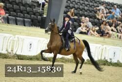 24R13_15830 thumbnail