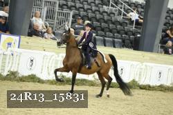 24R13_15831 thumbnail