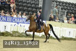 24R13_15832 thumbnail