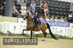 24R13_15833 thumbnail