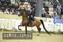 24R13_15834 thumbnail