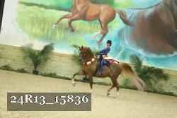 24R13_15836 thumbnail