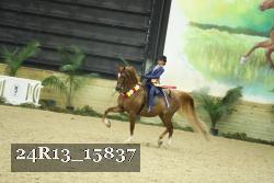 24R13_15837 thumbnail