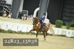 24R13_15838 thumbnail