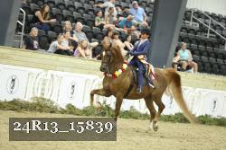 24R13_15839 thumbnail