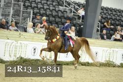 24R13_15841 thumbnail