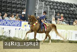 24R13_15842 thumbnail