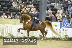 24R13_15845 thumbnail