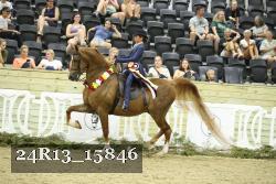 24R13_15846 thumbnail