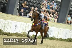 24R13_15849 thumbnail