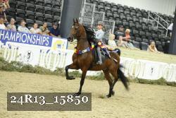24R13_15850 thumbnail