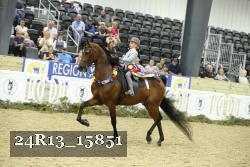 24R13_15851 thumbnail