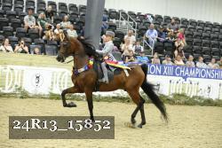 24R13_15852 thumbnail