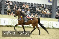 24R13_15853 thumbnail
