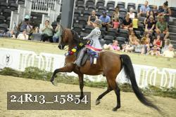 24R13_15854 thumbnail