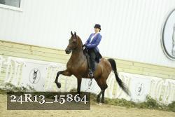 24R13_15864 thumbnail