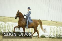 24R13_15866 thumbnail