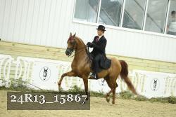 24R13_15867 thumbnail