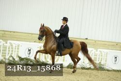 24R13_15868 thumbnail