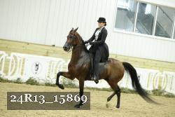 24R13_15869 thumbnail