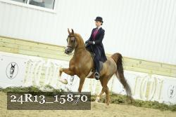 24R13_15870 thumbnail