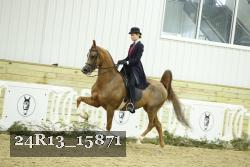 24R13_15871 thumbnail