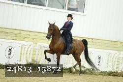 24R13_15872 thumbnail
