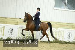 24R13_15873 thumbnail