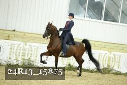 24R13_15875 thumbnail