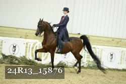 24R13_15876 thumbnail