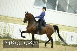 24R13_15877 thumbnail