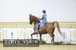 24R13_15878 thumbnail