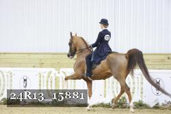 24R13_15881 thumbnail